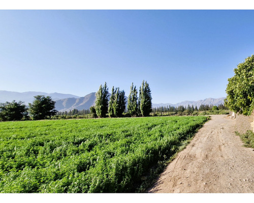 En Venta Terreno Agrícola De 4,5 Hectáreas, En Catemu.