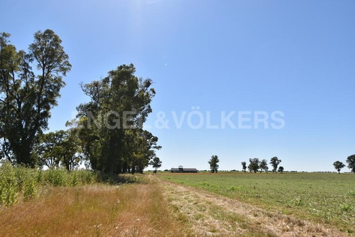 Imagen 8 de 9 de Predio Rural Con Costa Al Rio De La Plata