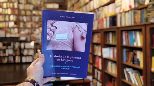 Historia De La Pintura En Uruguay I. Gabriel Peluffo Linari (Usado)