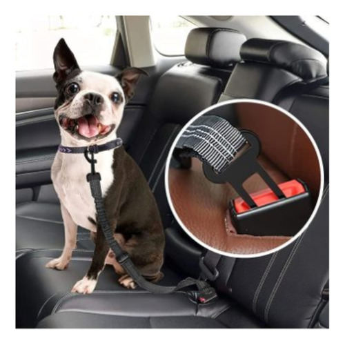 Cinturón Seguridad Perro Mascota Auto Reglamentario Premium