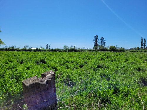 Terreno De 2,5 Há, En Cuñibal, Cercano A Los Ángeles
