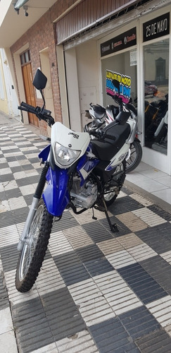 Imagen 3 de 10 de Motomel Skua 150 V6