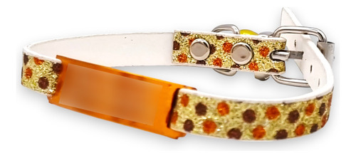 Combo Chapita Pasante + Collar Glamour Cat Dorado Pasacat