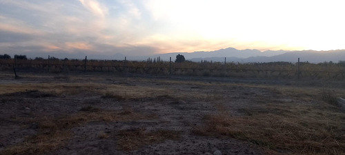 Imagen 2 de 8 de Venta Lote El Carrascal Maipu - Mendoza