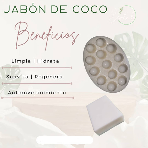 Jabon Artesanal De Coco Y Sabila 