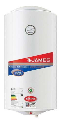 Termotanque eléctrico James Cilíndrica Acero Convencional 60 L blanco 230V