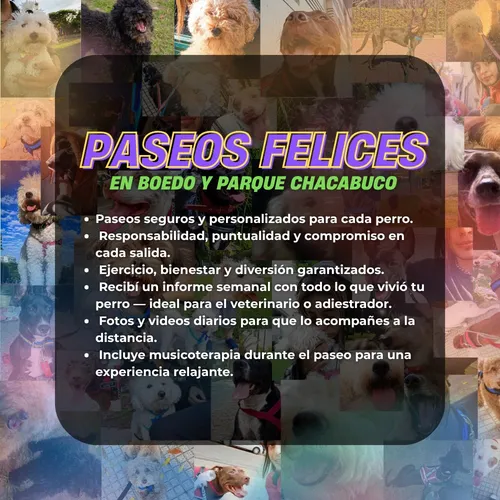 Paseo De Perros En Parque Chacabuco Y Boedo