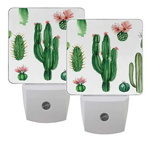 Naanle Set De 2 Acuarela Cactus Suculent Blanco Natural Auto