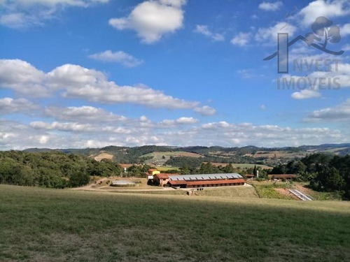Imagem 2 de 15 de Cód 4283- Magnifico Haras Em Ibiúna Com 80.000 M². - 4283