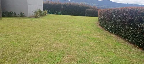 Finca En Venta En La Ceja. Cod V10832