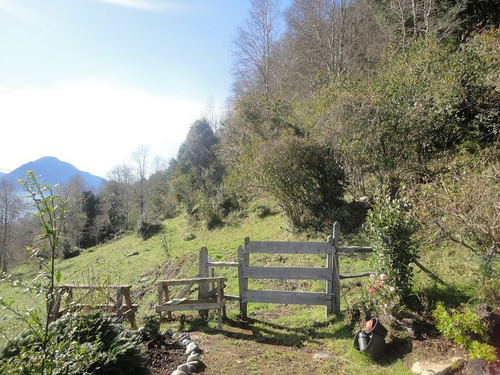 Parcela En Venta En Panguipulli