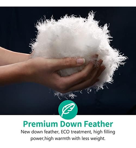 Apsmile Edredón De Plumón De Plumas Pesadas Para Invierno, T