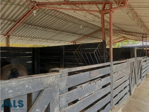 Finca Para Caballistas(mls#249601)