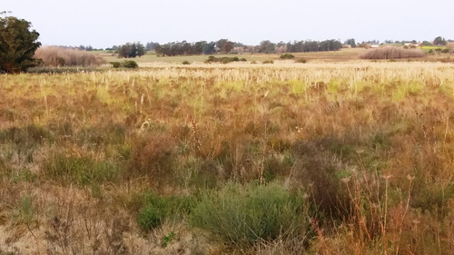 Campo 57 Hectareas Con Arroyo En Canelones