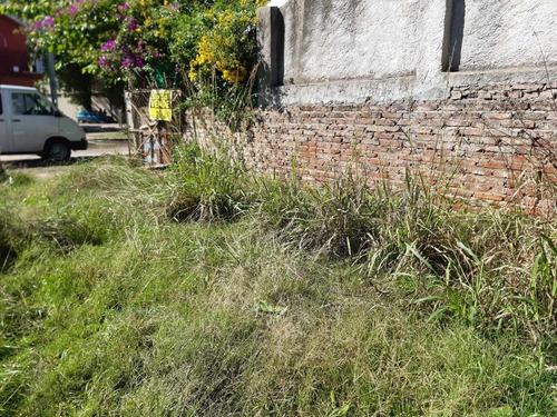 Imagen 5 de 7 de Venta Lote- Manuel Alberti - Pilar