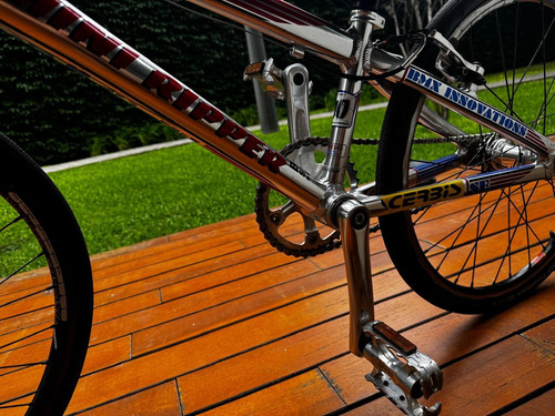 Bicicleta Bmx Se Racing Mini Ripper - Leer X Envios Plateado 20 "