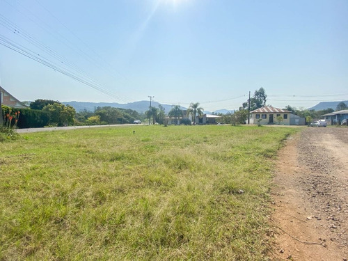 Imagem 5 de 8 de Terreno À Venda, 1545 M² - Picada Cara - Feliz/rs - Te0453