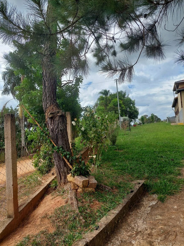 Imagem 12 de 27 de Chácara 36000m2, Casa Sede 110m2, 2 Dormitórios, 1 Suíte, 3 Mil Pés De Café, Horta, Galinheiro, Poços Artesianos, Curral, Rio, Açude - Ch00271 - 70927776