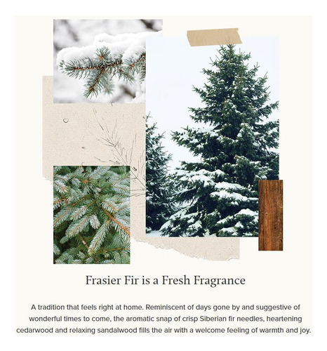 Thymes Frasier Fir Candle - Heritage Pine Needle Needle Lumi