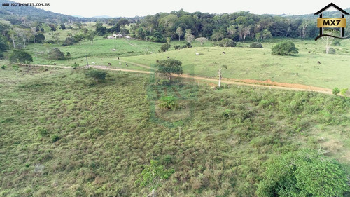 Imagem 6 de 15 de Fazenda Para Venda Em Gongogi, Zona Rural - 736_1-2090754