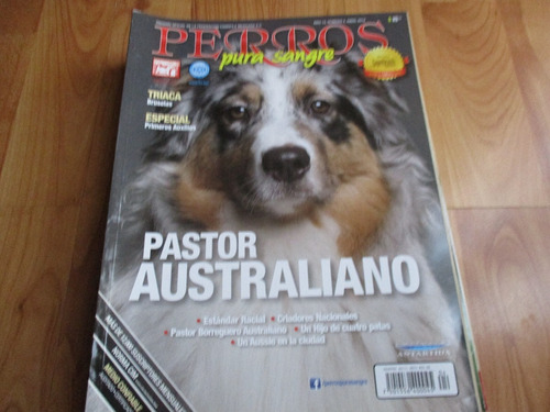 Revista Perros Pura Sangre Pastor Australiano