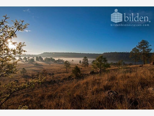 Imagen 12 de 12 de Terreno En Venta Bosques De Llano Grande