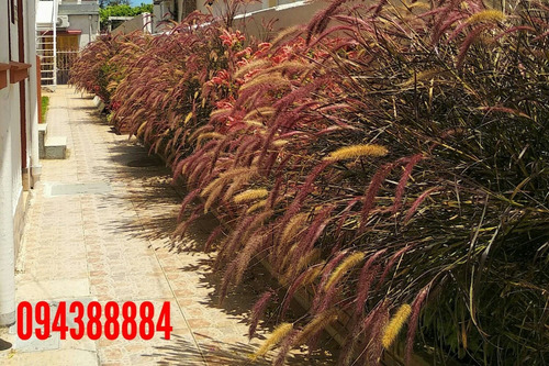 Aptos. Centro A Dos Del Mar Temporada 2021. Wifi Fi