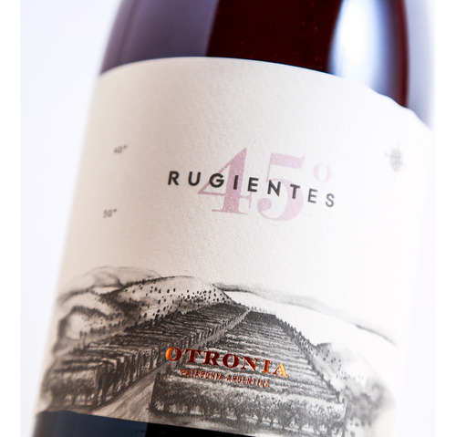 Vino 45° Rugientes Pinot Noir Organico Vegano Otronia Chubut