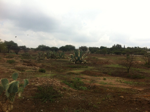 Imagen 6 de 10 de Terreno En Venta Tequisquiapan Sn José De La Laja Pg