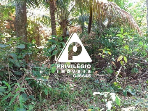 Imagem 8 de 12 de Lote À Venda, Jardim Botânico - Rio De Janeiro/rj - 27136