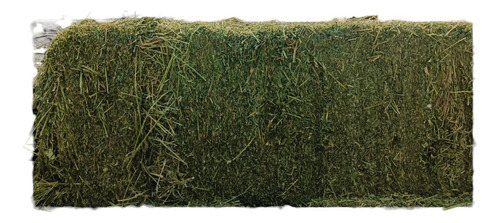 Paca De Alfalfa Verde Premium Grande 20 Kg Envio Gratis