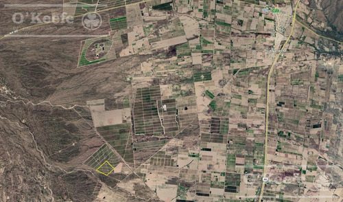 Imagen 18 de 22 de Viñedo Premium De Altura En Mendoza En Venta Sobre Fracción De 23 Has - Oportunidad