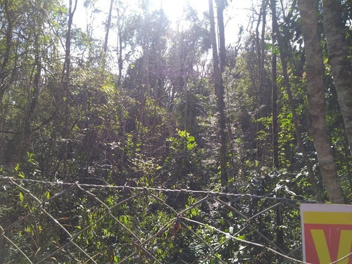 Imagem 3 de 5 de Terreno À Venda, 4180 M² Por R$ 1.000.000,00 - Abranches - Curitiba/pr - Te0125