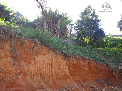 Imagem 2 de 3 de Terreno Residencial À Venda, Jardim Renata, Arujá. - Te0065
