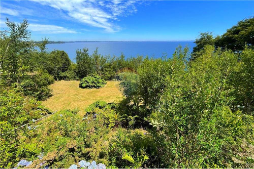 Orilla Lago, Maravillosa Vista! 2 Casas, 5000 M2