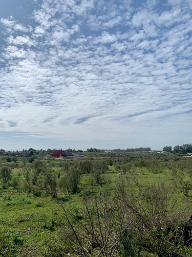 En Venta Chacra En Salto. Ruta 3 ¡atención Inversores Y Empresarios!