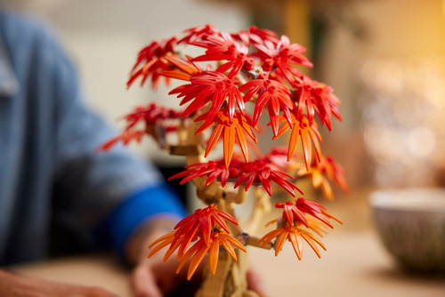 Lego Flores 10348 Bonsái De Arce Rojo Japonés