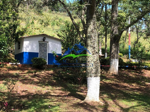 Imagem 13 de 15 de Sitio Lindo Em Nazaré Paulista - 04