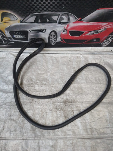Goma Puerta Trasera Izquierda Fiat Pulse 2023 Original (Usado)