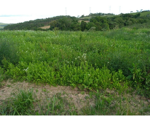Imagem 16 de 27 de 01o=terreno A Venda
