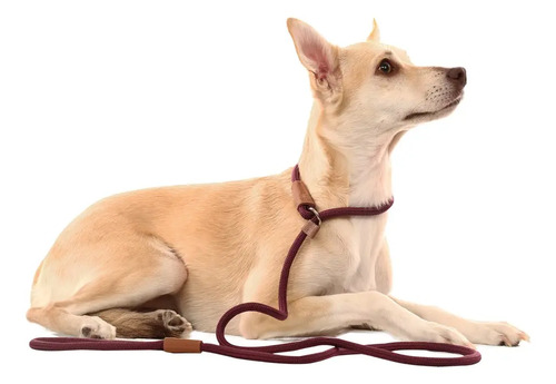 Guia Corda Unificada 9mm Adestramento Toh Bordô 1,1m Para Cães Pet Cachorro Toh Dog