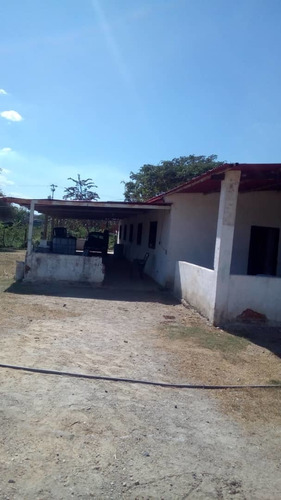 Imagen 5 de 9 de Venta De Finca En Santa Cruz De Aragua. Via El Guaril