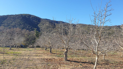 Oportunidad Bajó De Precio Sitio En Pirque Con Vista
