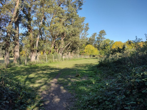 Imagen 12 de 21 de Terreno En Venta - La Lonja - Pilar