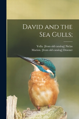 Libro David And The Sea Gulls; - Niclas, Yolla