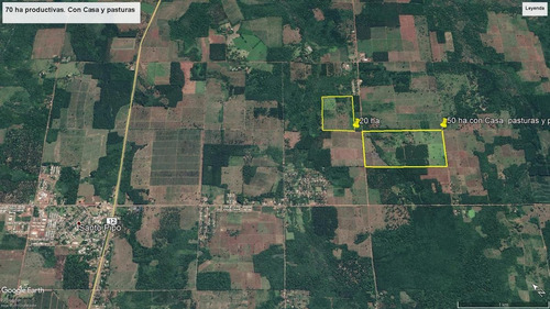 Imagen 2 de 20 de Se Vende Campo 70 Ha Con Gran Casa. Santo Pipó Misiones. Arroyo Y Pino. Suelo Para Yerba.