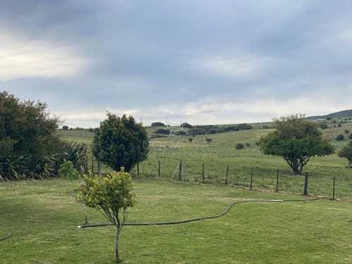 Imagen 7 de 12 de Campo Con Casa En Pueblo Eden - Pueblo Eden