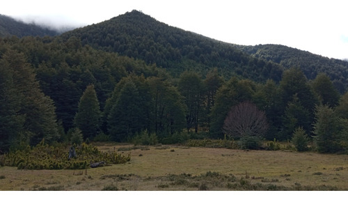 Refugio Llaima: Desde 5000m2 A Orillas Del Río Huichahue