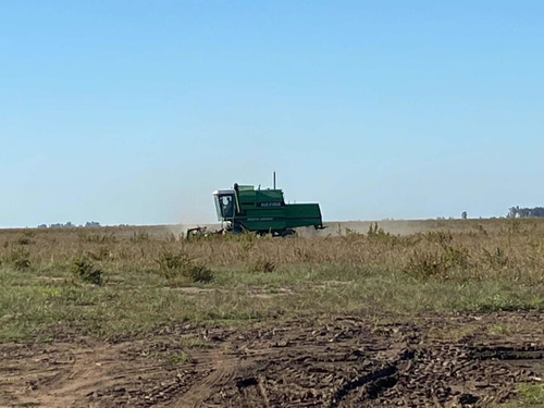 Deutz Máxima