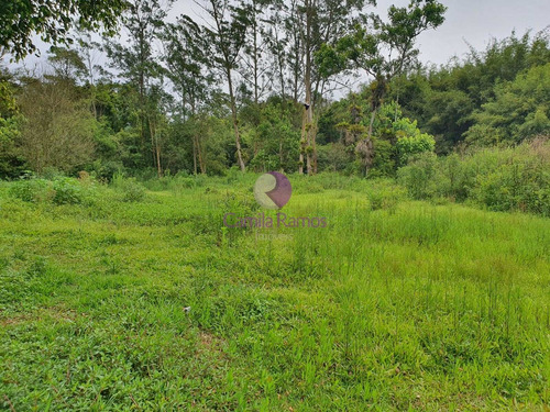 Imagem 23 de 24 de Área À Venda, Vila Luzitania, Riberão Pires/sp. - Ch00075 - 70283458